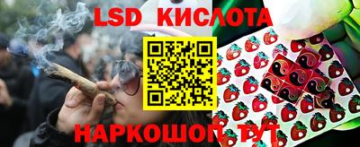 СК Гудермес