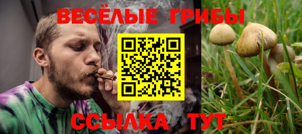 Галлюциногенные грибы Psilocybine cubensis  Псилоцибиновые грибы Psilocybe  Стрежевой  Вход с VPN 