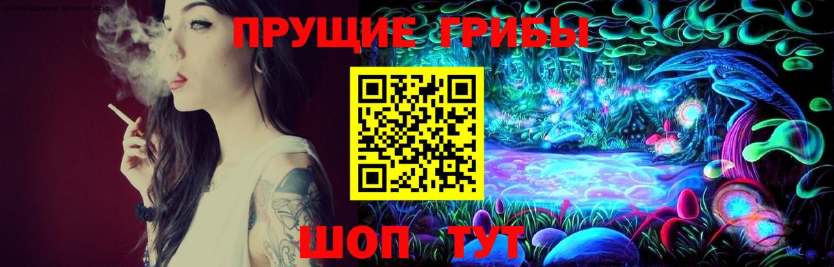 Галлюциногенные грибы Psilocybe Стрежевой